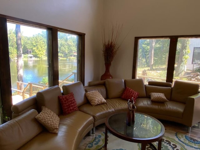 living room with wood-type flooring, a water view, and plenty of natural light