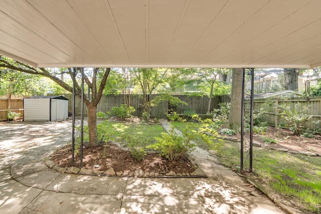 view of yard featuring a patio area and a shed