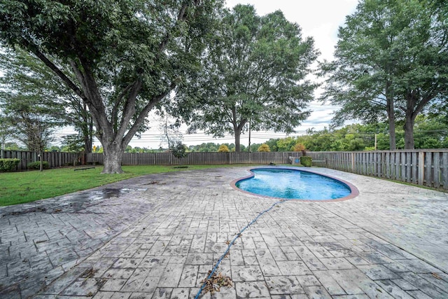 view of swimming pool featuring a lawn and a patio