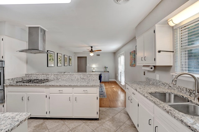 kitchen featuring range hood, appliances with stainless steel finishes, a healthy amount of sunlight, and sink