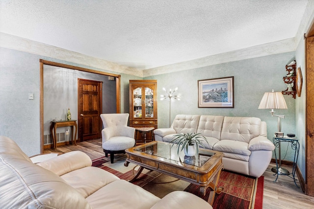 living room with a textured ceiling and wood-type flooring