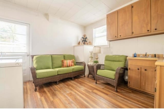 sitting room with light hardwood / wood-style floors and a wealth of natural light