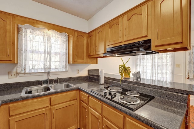 kitchen featuring stainless steel electric cooktop and sink