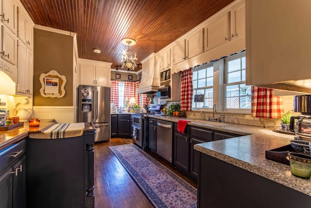 kitchen featuring appliances with stainless steel finishes, a healthy amount of sunlight, dark hardwood / wood-style floors, and sink