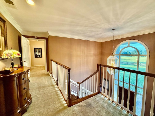 hall featuring ornamental molding and carpet flooring