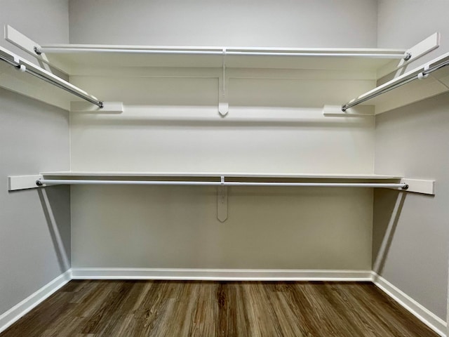 spacious closet with dark wood-type flooring