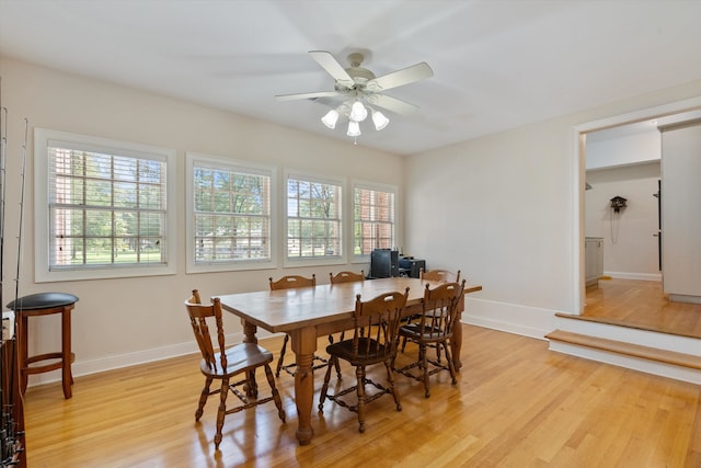 dining area with ceiling fan and light wood-type flooring