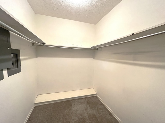 spacious closet with dark carpet