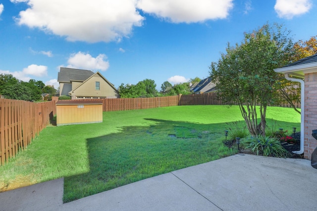 view of yard with a patio area