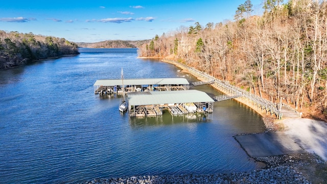 dock area with a water view