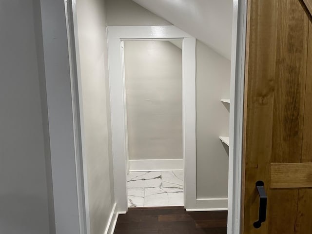 bathroom featuring hardwood / wood-style flooring and vaulted ceiling