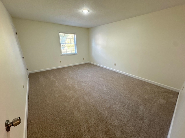 spare room featuring carpet