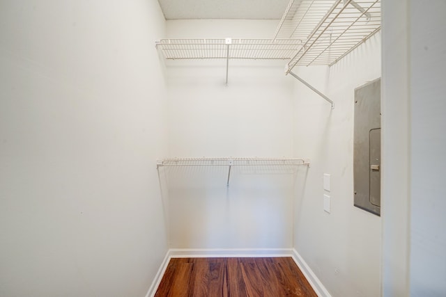 spacious closet featuring hardwood / wood-style floors and electric panel