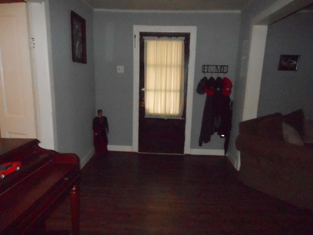 entrance foyer featuring wood-type flooring and ornamental molding