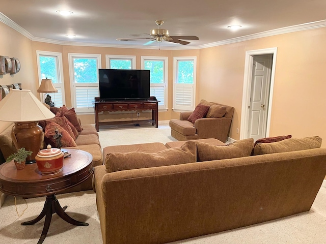 carpeted living room with ceiling fan, plenty of natural light, and crown molding