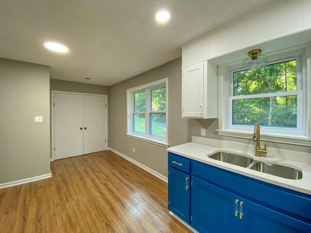 kitchen featuring blue cabinets, white cabinets, plenty of natural light, and sink