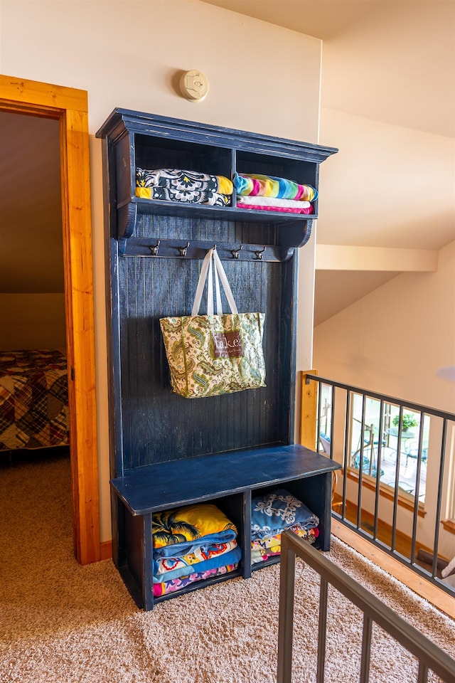 mudroom featuring carpet flooring