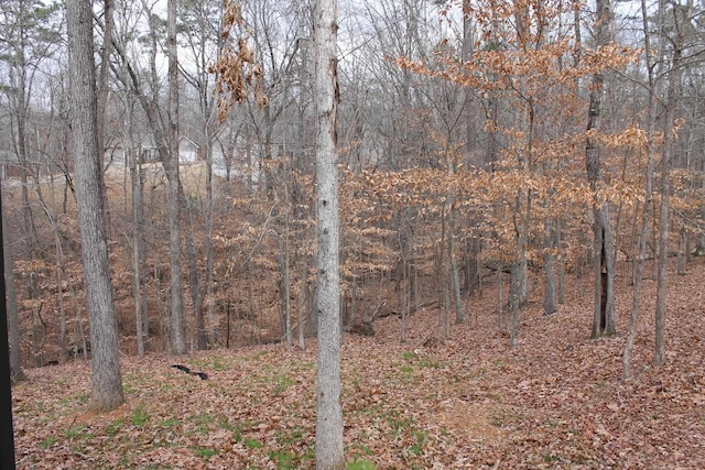 view of local wilderness