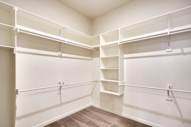 spacious closet with carpet floors