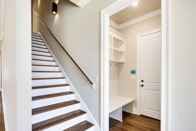 mudroom featuring dark hardwood / wood-style floors