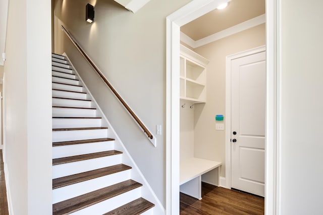 6625 Pidgeon Woods Cv, Memphis, TN 38119 - mudroom with dark wood-type flooring