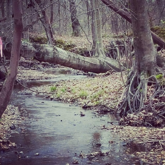 view of nature featuring a water view