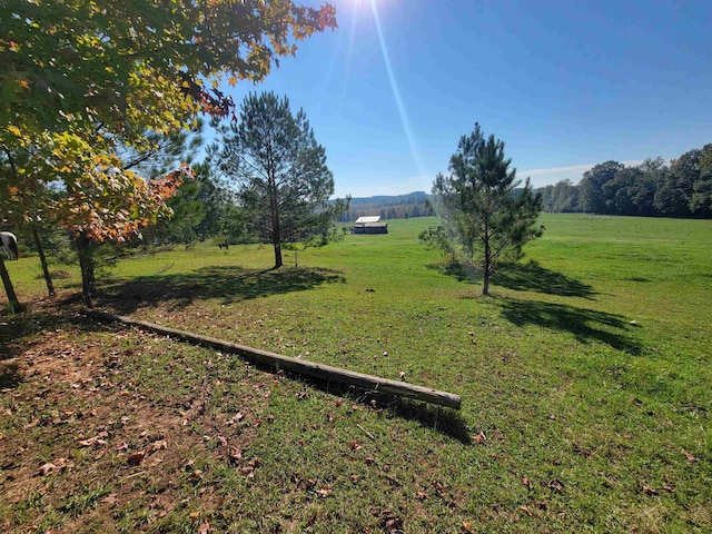 view of yard with a rural view