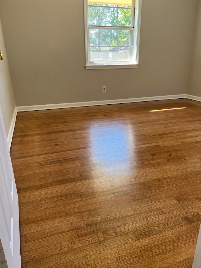 empty room featuring wood-type flooring