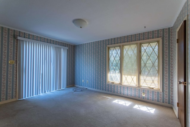 empty room featuring carpet flooring