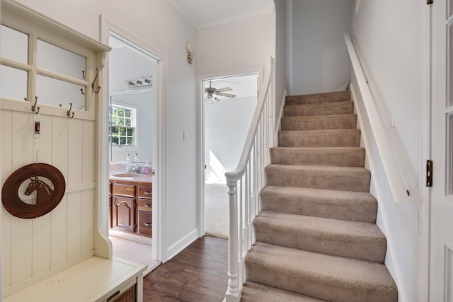 staircase featuring ceiling fan, sink, hardwood / wood-style flooring, and ornamental molding