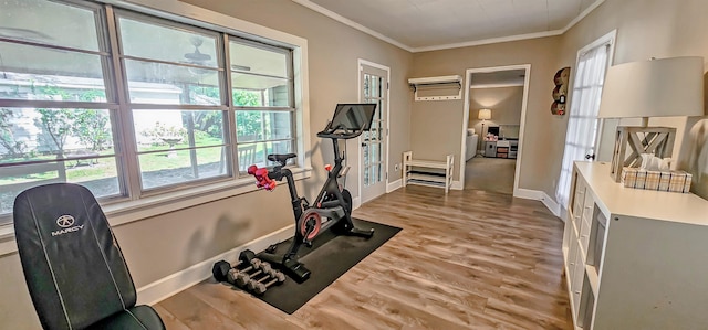 exercise area with wood-type flooring and crown molding