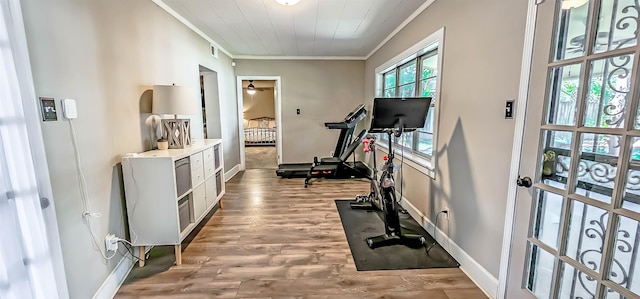 exercise room featuring light hardwood / wood-style flooring and ornamental molding