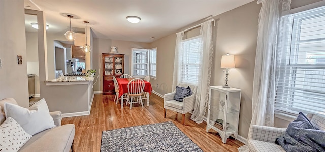 living area featuring light hardwood / wood-style flooring