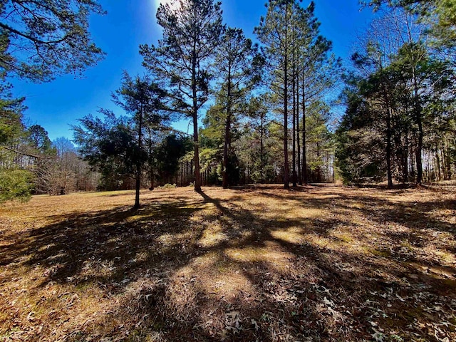 view of local wilderness