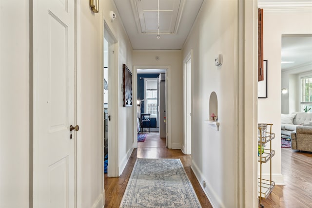 corridor with ornamental molding and hardwood / wood-style floors