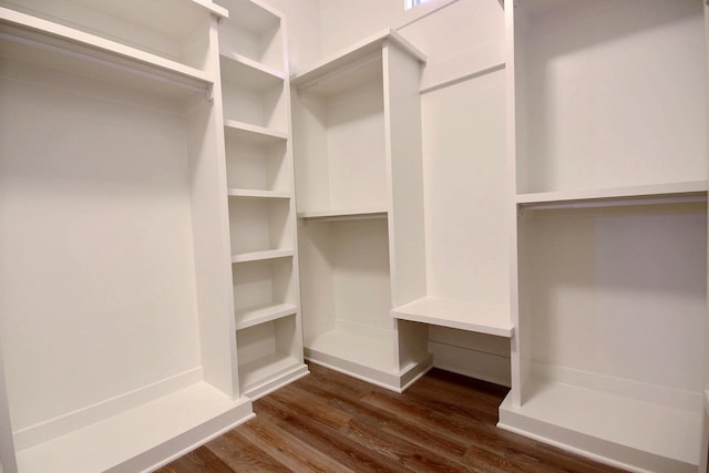 walk in closet with dark hardwood / wood-style floors