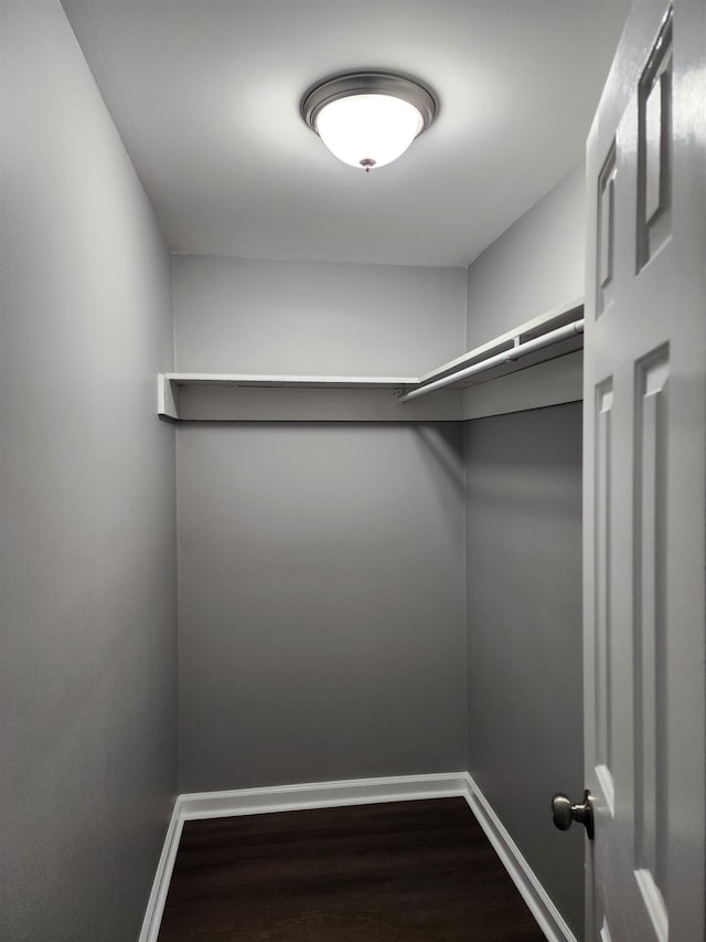 walk in closet with dark hardwood / wood-style flooring