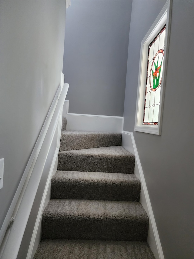 stairs with carpet