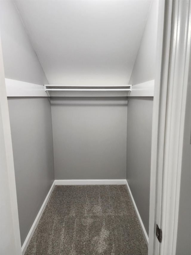 walk in closet featuring lofted ceiling and carpet flooring