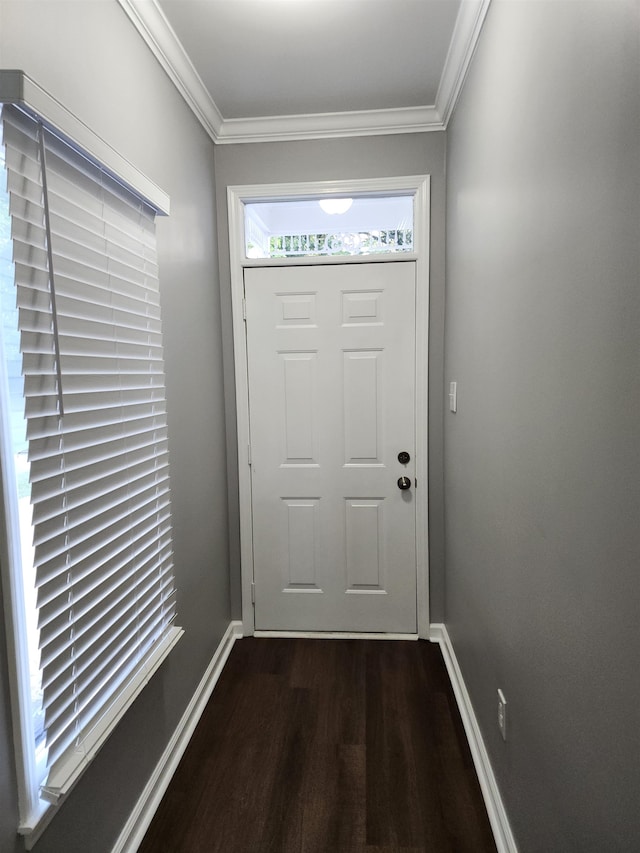 entryway featuring dark hardwood / wood-style floors and ornamental molding