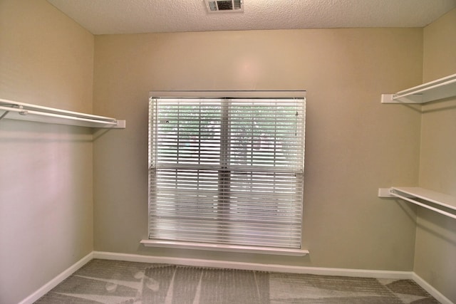 walk in closet with carpet floors