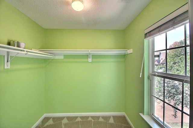 walk in closet with carpet floors