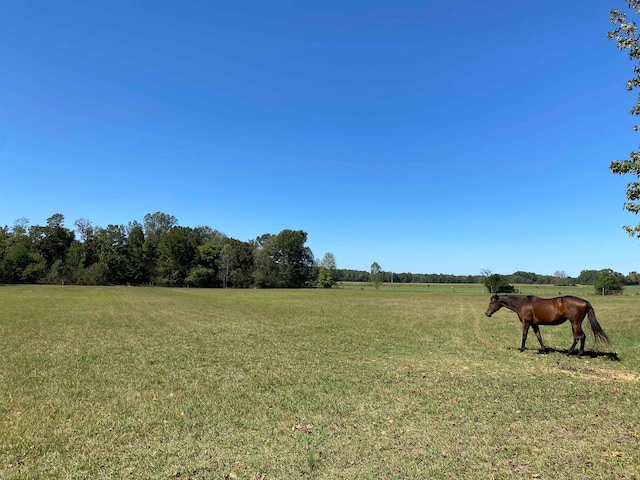 view of yard with a rural view