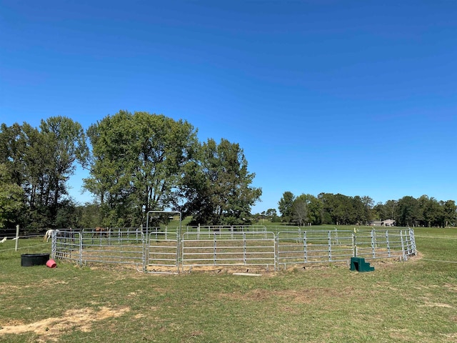 view of yard with a rural view