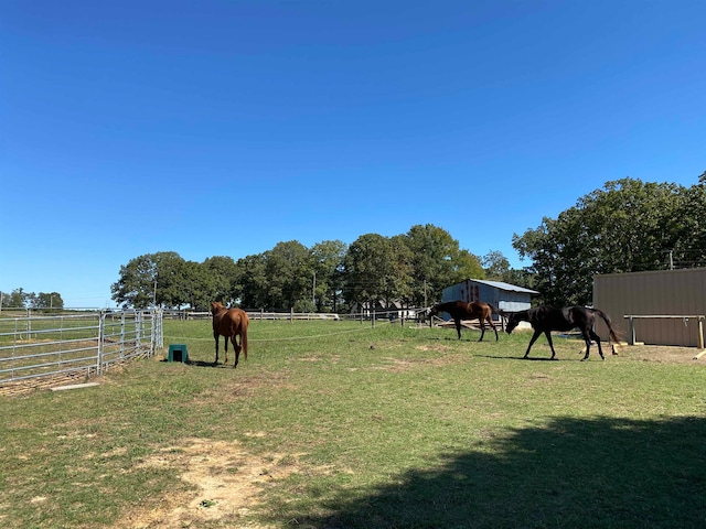 view of yard featuring a rural view