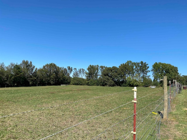 view of yard featuring a rural view