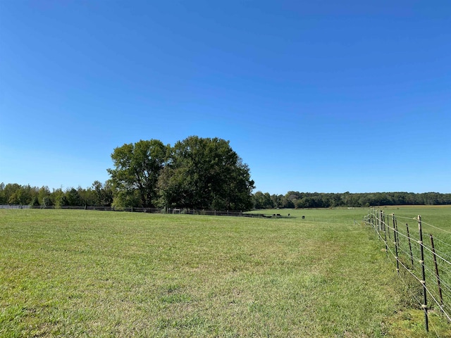 view of yard with a rural view