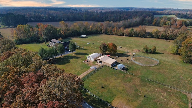 2845 Gilchrist Stantonville Rd, Stantonville, TN 38379 - birds eye view of property featuring a rural view and a forest view