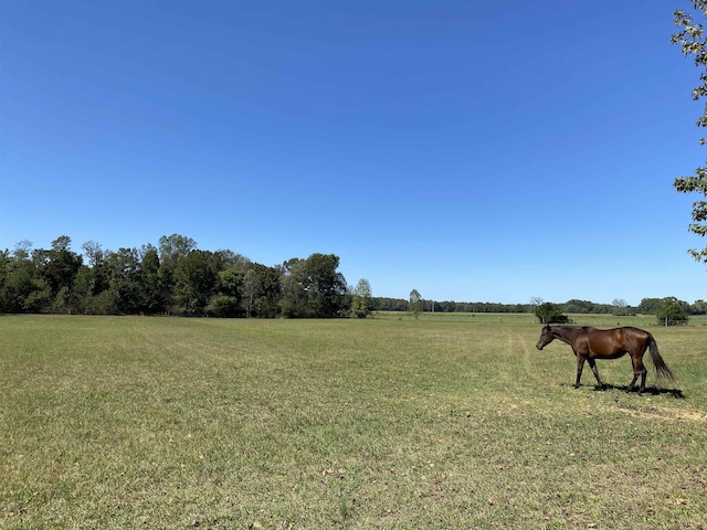 2845 Gilchrist Stantonville Rd, Stantonville, TN 38379 - view of nature featuring a rural view