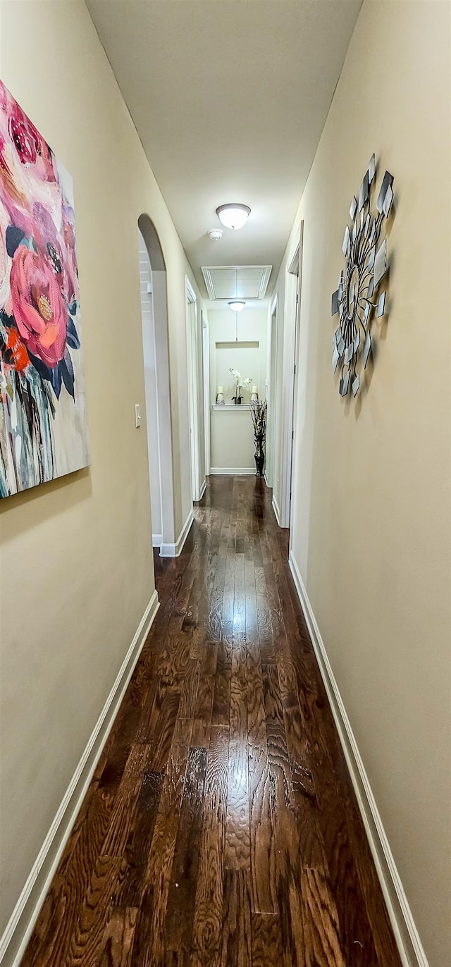 hall with dark hardwood / wood-style floors